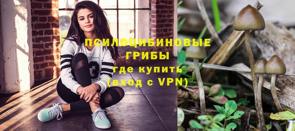 гашик Козельск