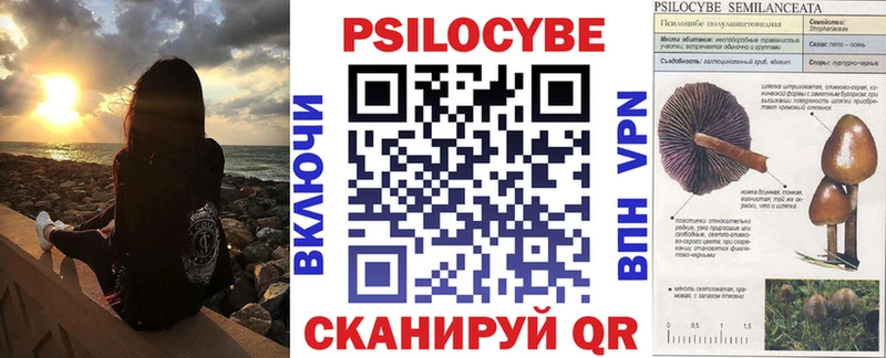 Купить  Гаджиево  Галлюциногенные грибы Cubensis 