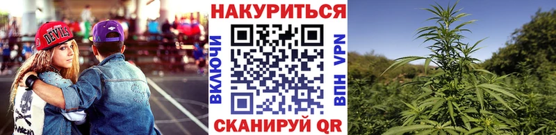 Купить закладки  Гаджиево  Бошки Шишки конопля 